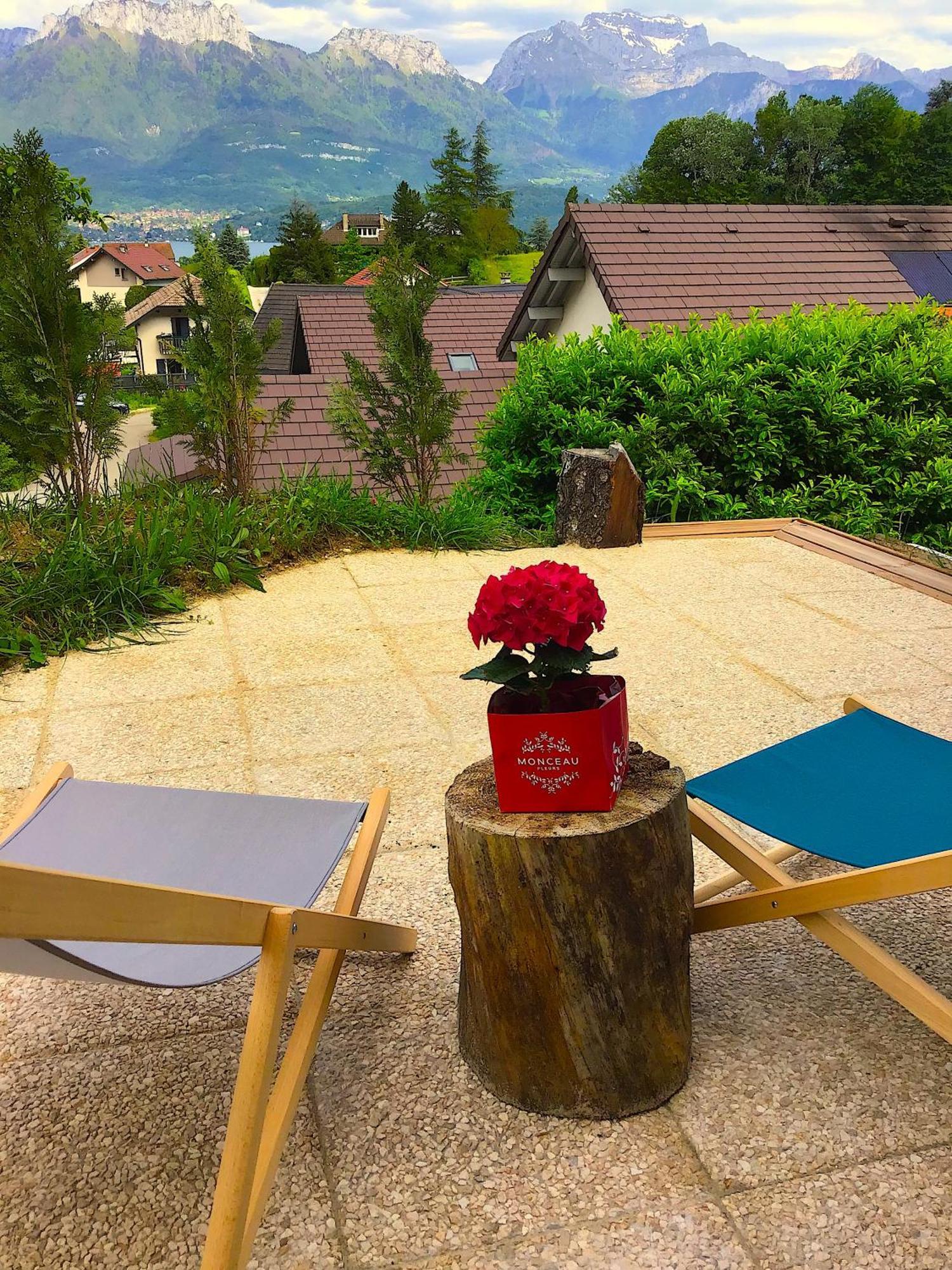 Vue Lac Lodges Sévrier エクステリア 写真